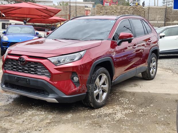 Toyota RAV4 Adventure 2019 Burgundy