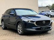 Mazda CX-30 2019 Blue for sale
