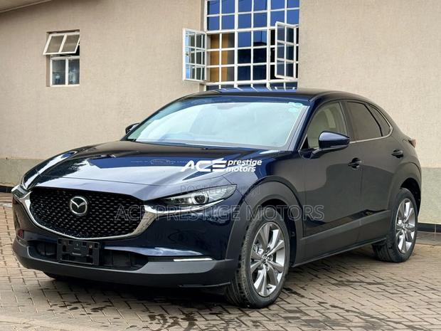 Mazda CX-30 2019 Blue