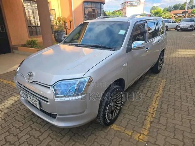 Toyota Probox 1.5 DX 2WD 2019 Silver