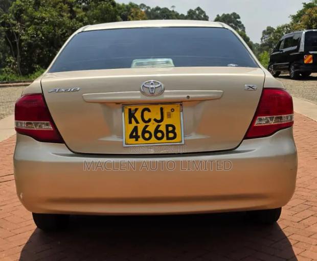 Toyota Axio 2010 Gold