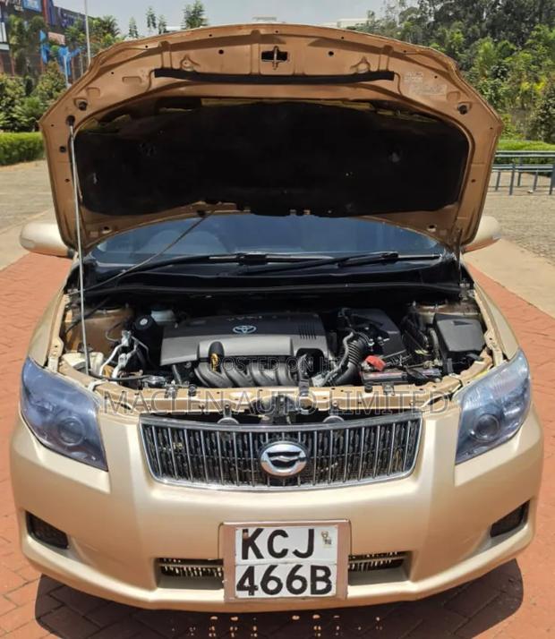 Toyota Axio 2010 Gold
