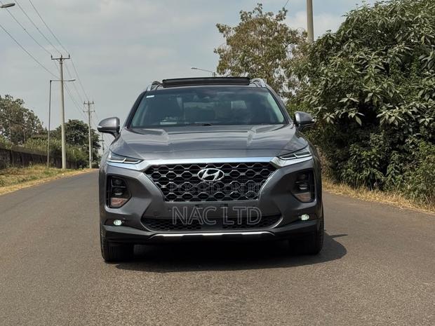 Hyundai Santa Fe 2020 Gray