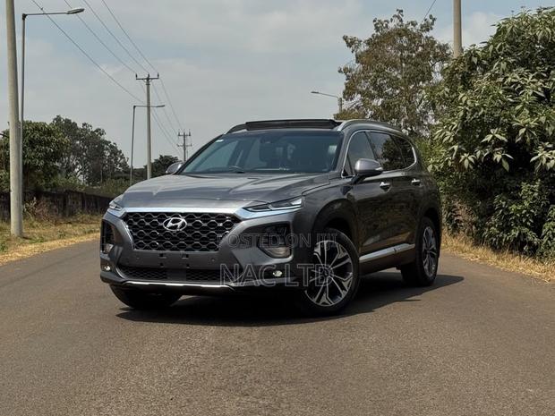 Hyundai Santa Fe 2020 Gray