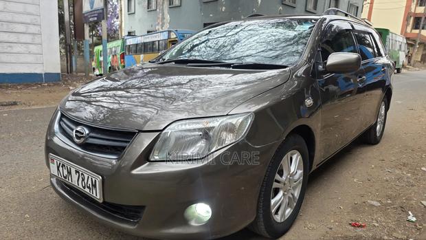 Toyota Corolla Fielder 2010 Gray