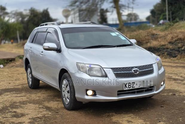 Toyota Corolla Fielder 2007 Silver