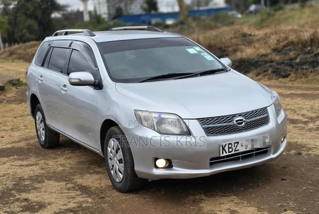 Toyota Corolla Fielder 2007 Silver