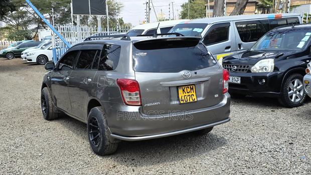 Toyota Corolla Fielder 2010 Burgundy