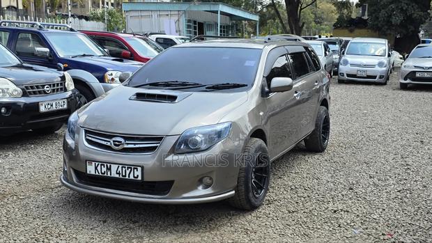 Toyota Corolla Fielder 2010 Burgundy