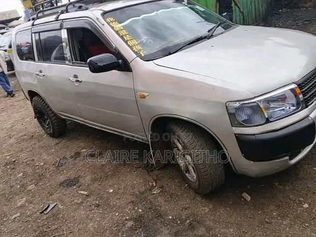 Toyota Probox 1.5 DX 2WD 2004 Silver