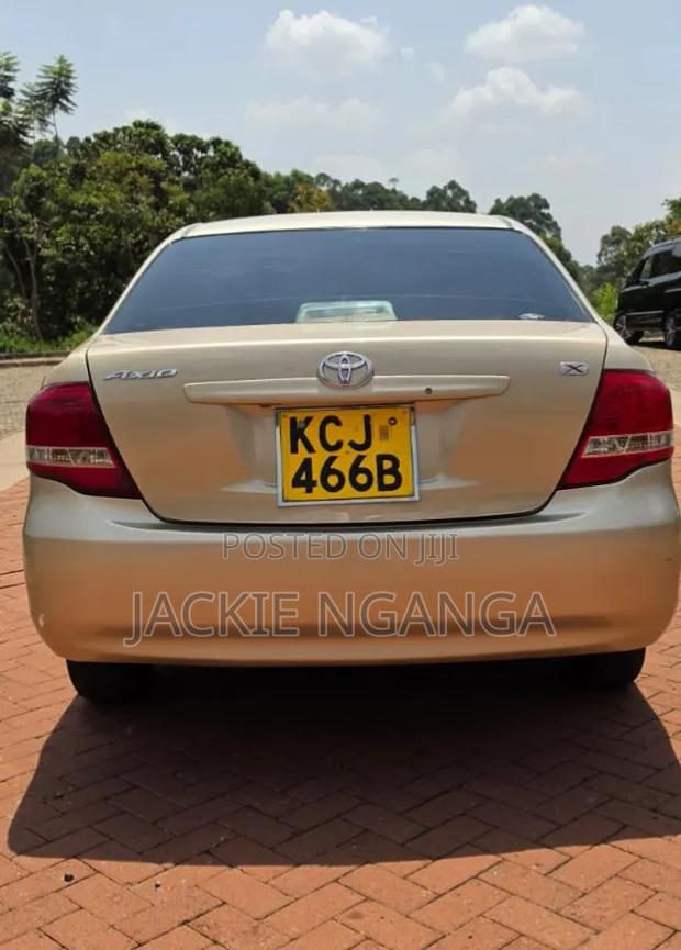 Toyota Axio 2010 Gold