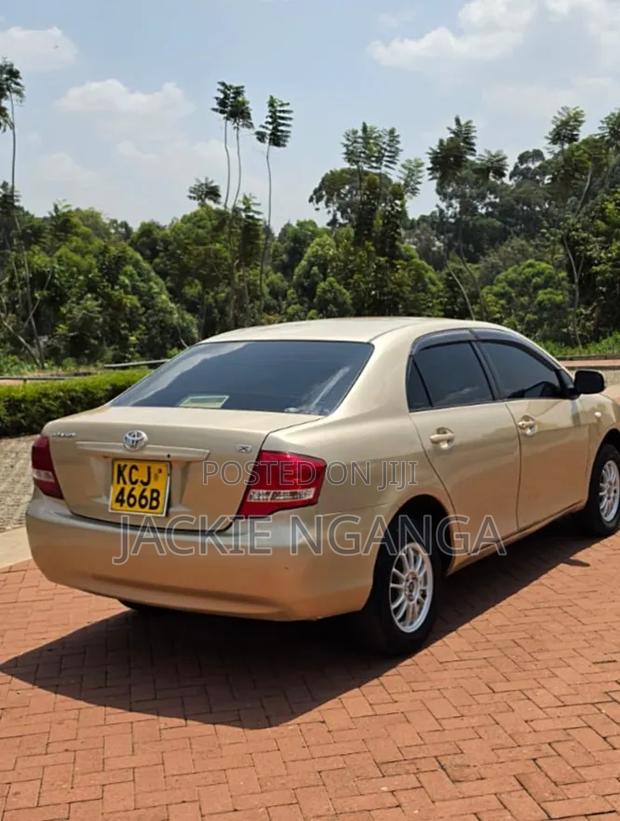 Toyota Axio 2010 Gold