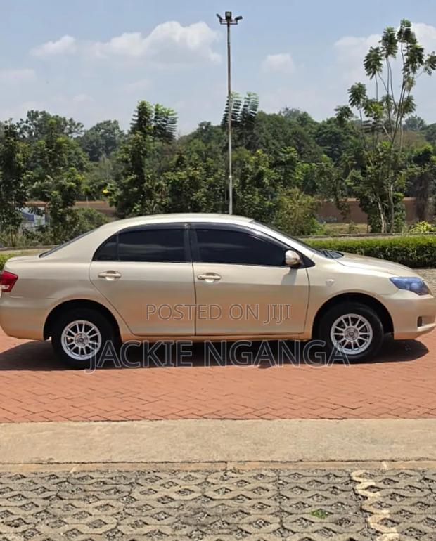 Toyota Axio 2010 Gold