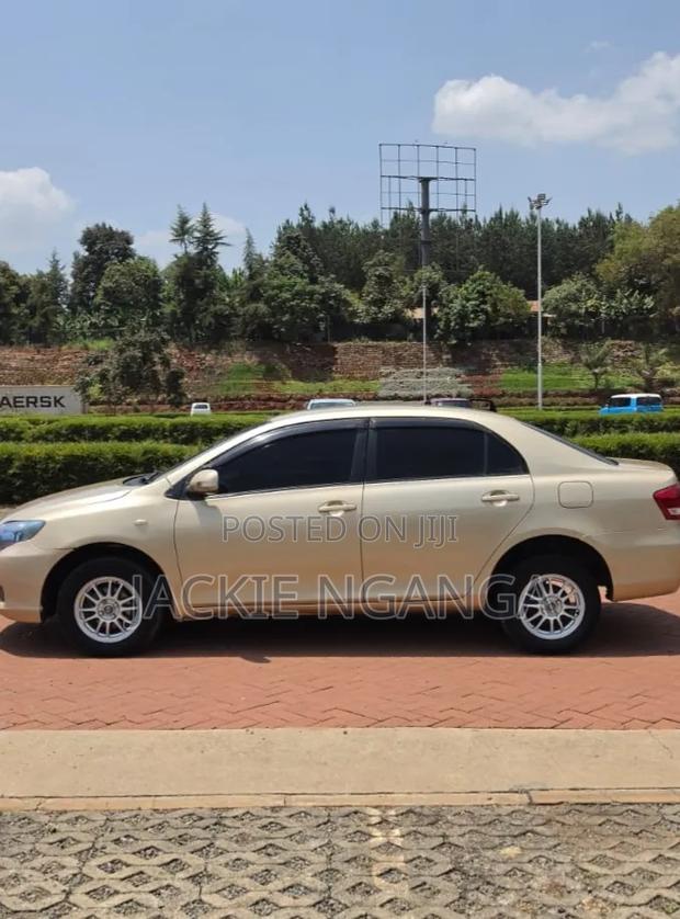 Toyota Axio 2010 Gold