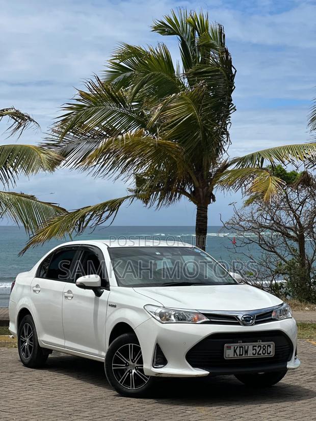 Toyota Axio 2019 White
