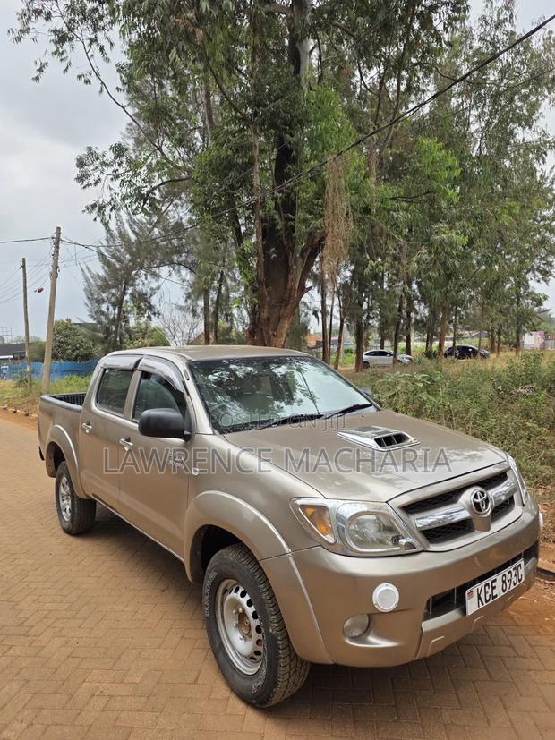 Toyota Hilux 3.0 D-4D Double Cab 2008 Brown