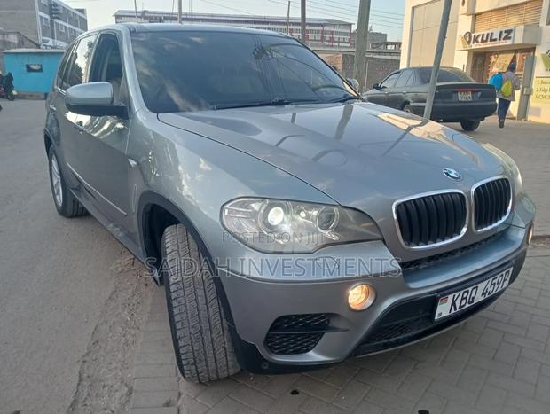 BMW X5 xDrive30i AWD (3.0L 6cyl 6A) 2010 Gray