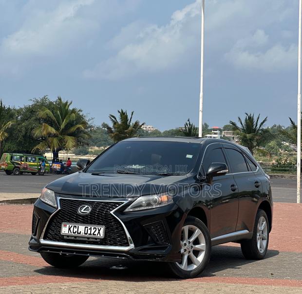Lexus RX 2010 Black