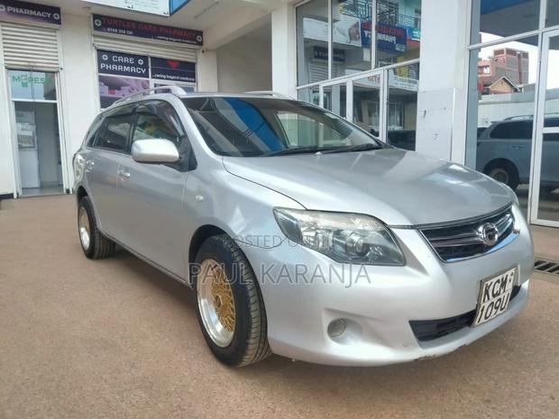 Toyota Corolla Fielder 2010 Silver