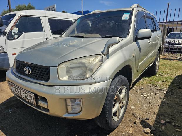 Toyota RAV4 2004 Silver