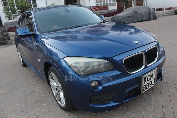 BMW X1 xDrive18d 2012 Blue