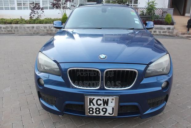 BMW X1 xDrive18d 2012 Blue
