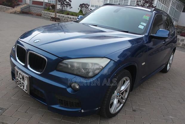BMW X1 xDrive18d 2012 Blue