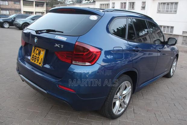 BMW X1 xDrive18d 2012 Blue