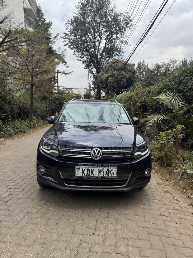 Volkswagen Tiguan 2015 Blue