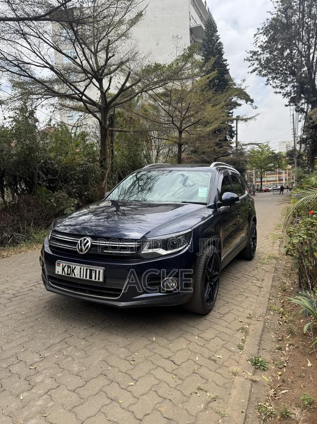Volkswagen Tiguan 2015 Blue