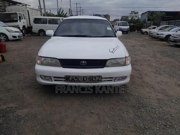Toyota Corolla 2003 White
