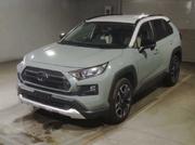 Toyota RAV4 Adventure 2019 for sale
