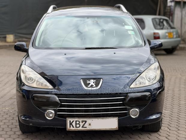 Peugeot 307 2007 Blue