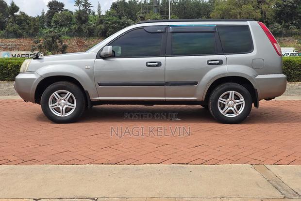 Nissan X-Trail 2.0 2007 Gray