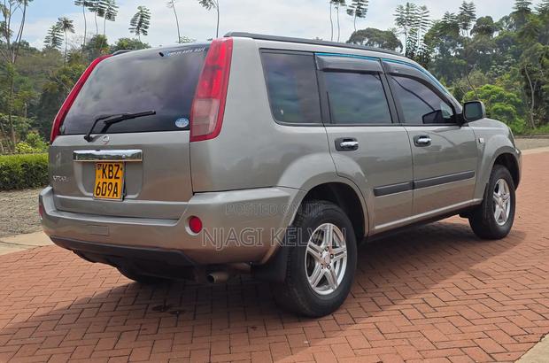 Nissan X-Trail 2.0 2007 Gray