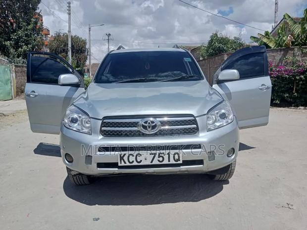 Toyota RAV4 2009 Silver