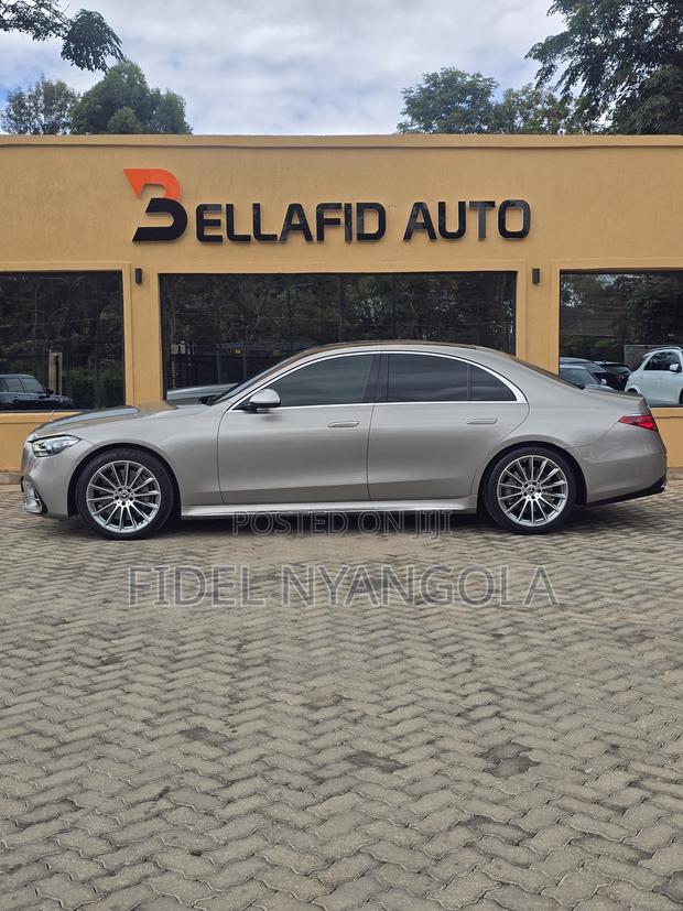 Mercedes-Benz S-Class S 500 (W222) 2020 Brown