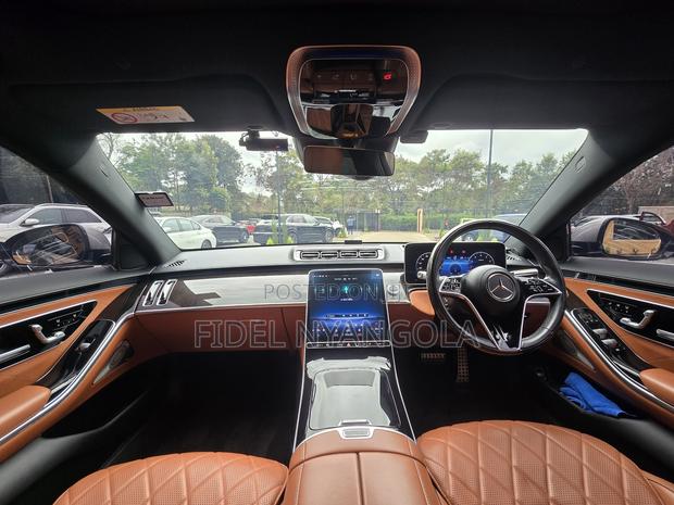 Mercedes-Benz S-Class S 500 (W222) 2020 Brown