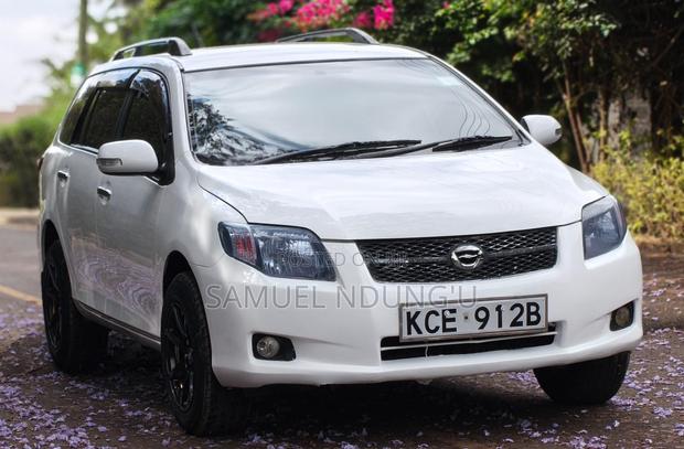 Toyota Corolla Fielder 2009 White