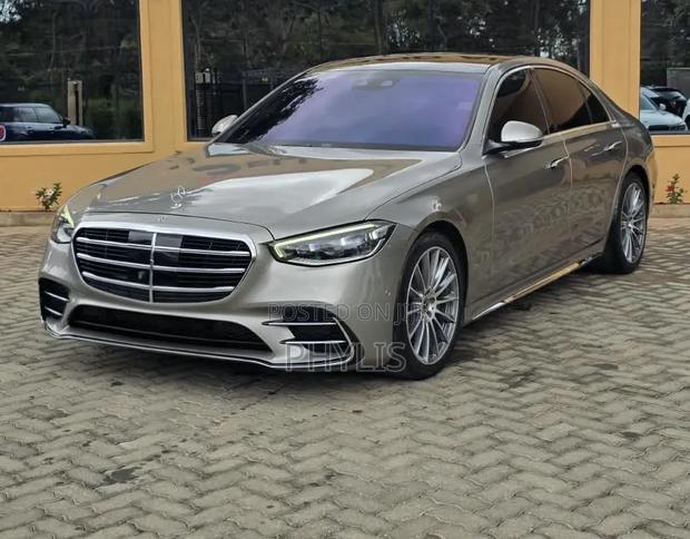 Mercedes-Benz S-Class S 500 (W222) 2020 Gray