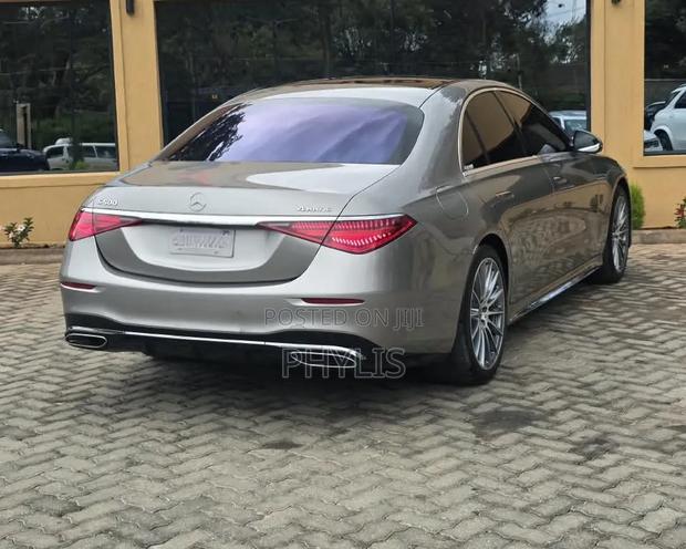 Mercedes-Benz S-Class S 500 (W222) 2020 Gray