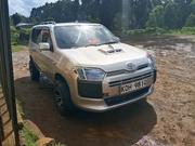 Toyota Probox 1.5 DX 2WD 2014 Gold for sale