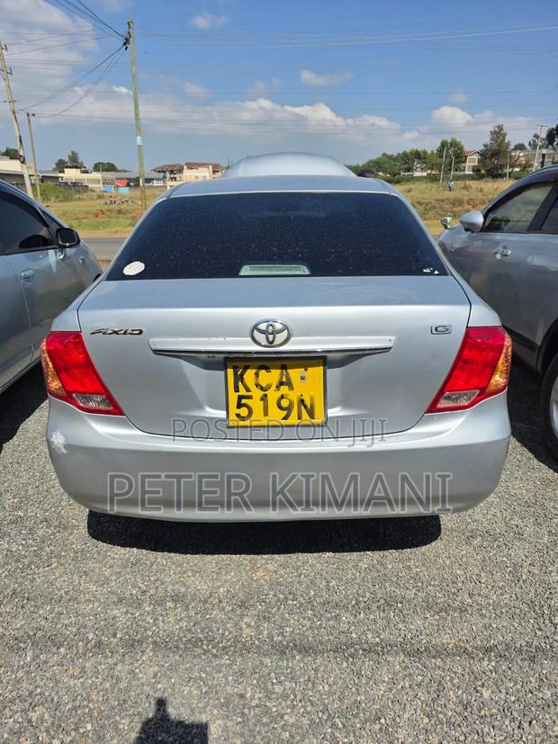 Toyota Axio 2010 Gray
