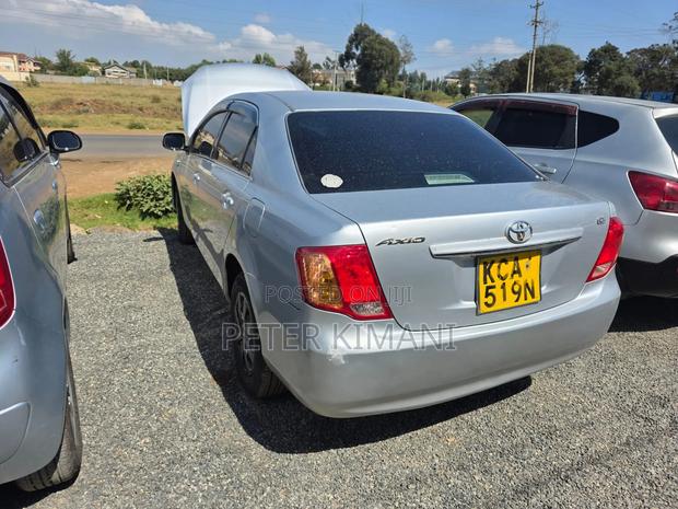 Toyota Axio 2010 Gray