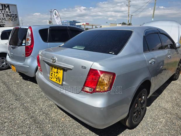 Toyota Axio 2010 Gray