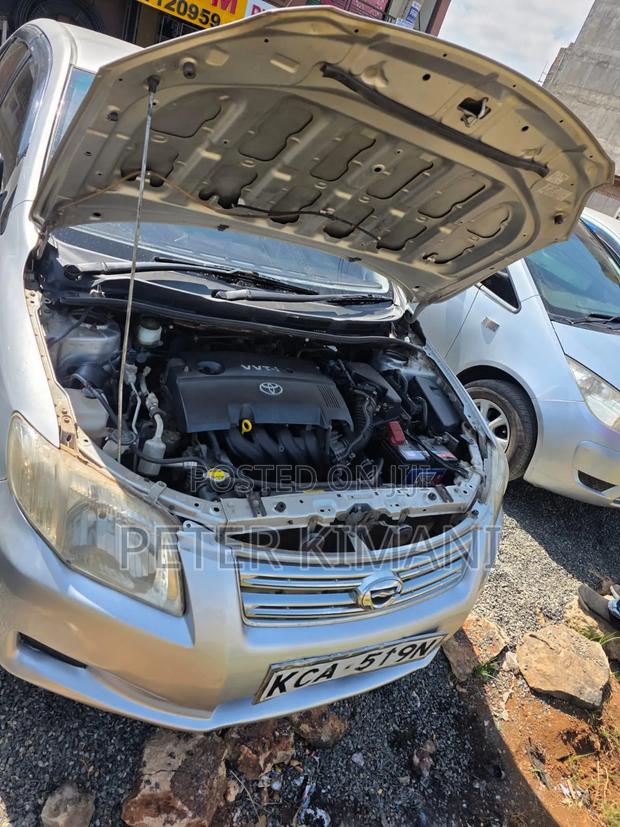 Toyota Axio 2010 Gray