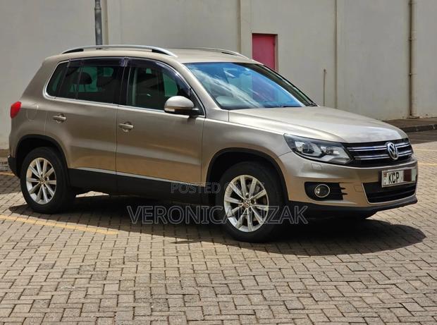 Volkswagen Tiguan 2012 Gold