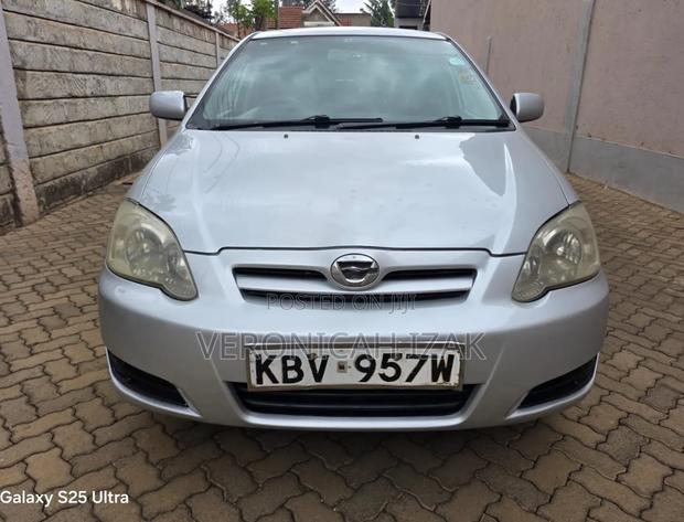 Toyota Corolla RunX 2006 Silver