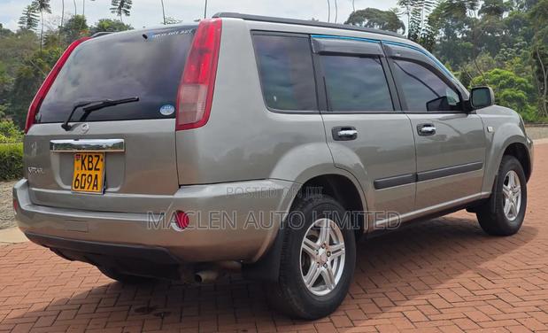 Nissan X-Trail 2007 Gray