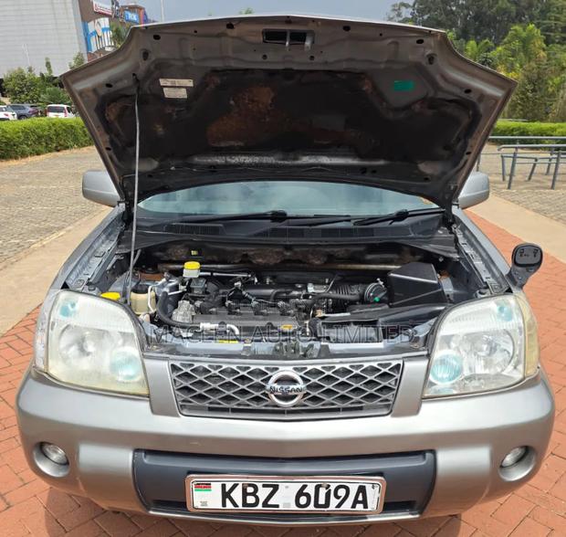 Nissan X-Trail 2007 Gray
